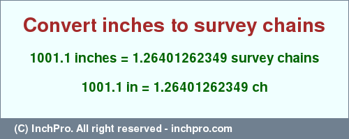 Result converting 1001.1 inches to ch = 1.26401262349 survey chains