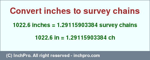 Result converting 1022.6 inches to ch = 1.29115903384 survey chains