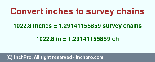Result converting 1022.8 inches to ch = 1.29141155859 survey chains