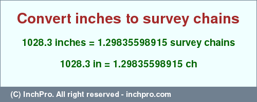Result converting 1028.3 inches to ch = 1.29835598915 survey chains
