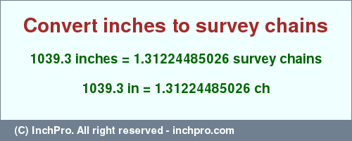 Result converting 1039.3 inches to ch = 1.31224485026 survey chains