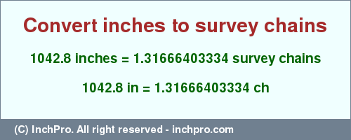 Result converting 1042.8 inches to ch = 1.31666403334 survey chains