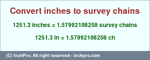 Result converting 1251.3 inches to ch = 1.57992108258 survey chains