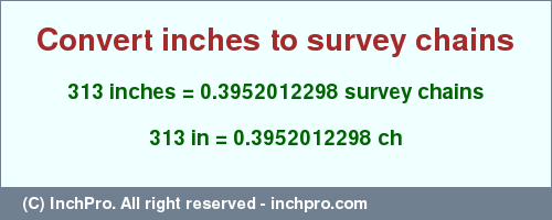Result converting 313 inches to ch = 0.3952012298 survey chains