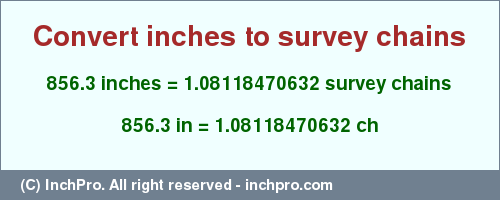 Result converting 856.3 inches to ch = 1.08118470632 survey chains