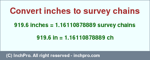 Result converting 919.6 inches to ch = 1.16110878889 survey chains