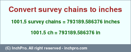 Result converting 1001.5 survey chains to inches = 793189.586376 inches