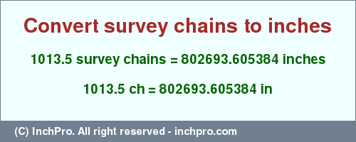 Result converting 1013.5 survey chains to inches = 802693.605384 inches