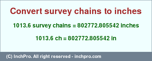 Result converting 1013.6 survey chains to inches = 802772.805542 inches