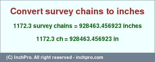 Result converting 1172.3 survey chains to inches = 928463.456923 inches