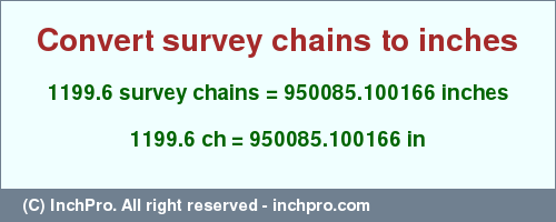 Result converting 1199.6 survey chains to inches = 950085.100166 inches