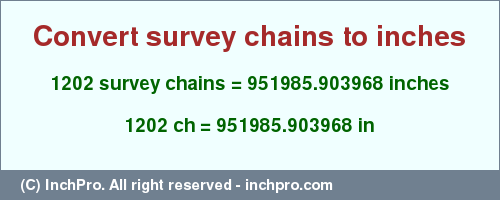 Result converting 1202 survey chains to inches = 951985.903968 inches