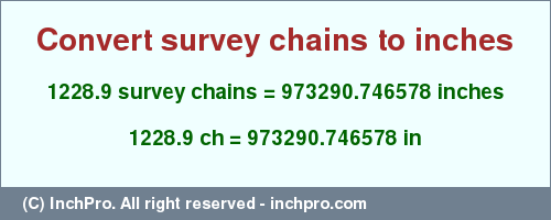Result converting 1228.9 survey chains to inches = 973290.746578 inches
