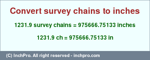Result converting 1231.9 survey chains to inches = 975666.75133 inches