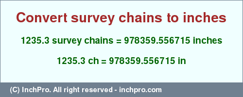 Result converting 1235.3 survey chains to inches = 978359.556715 inches