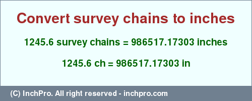 Result converting 1245.6 survey chains to inches = 986517.17303 inches