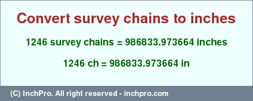 Result converting 1246 survey chains to inches = 986833.973664 inches