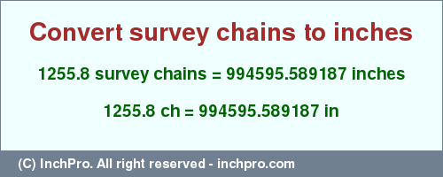 Result converting 1255.8 survey chains to inches = 994595.589187 inches