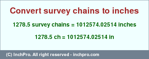 Result converting 1278.5 survey chains to inches = 1012574.02514 inches