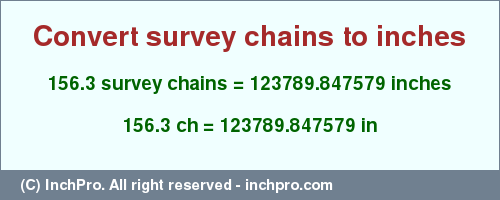 Result converting 156.3 survey chains to inches = 123789.847579 inches