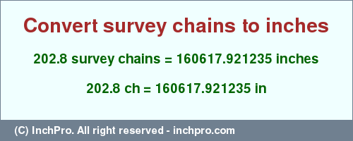 Result converting 202.8 survey chains to inches = 160617.921235 inches