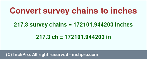 Result converting 217.3 survey chains to inches = 172101.944203 inches