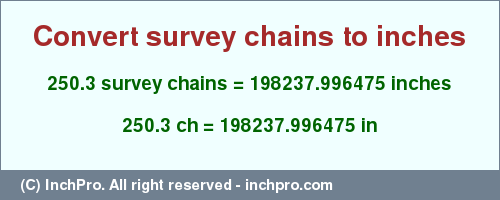 Result converting 250.3 survey chains to inches = 198237.996475 inches