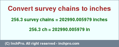 Result converting 256.3 survey chains to inches = 202990.005979 inches