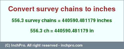 Result converting 556.3 survey chains to inches = 440590.481179 inches
