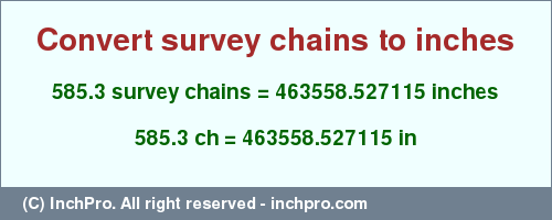 Result converting 585.3 survey chains to inches = 463558.527115 inches
