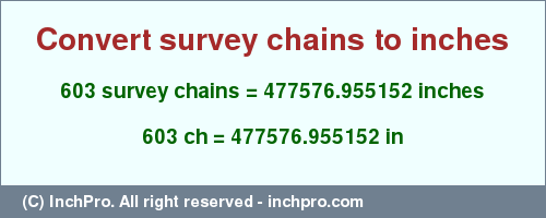 Result converting 603 survey chains to inches = 477576.955152 inches