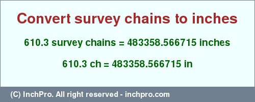 Result converting 610.3 survey chains to inches = 483358.566715 inches