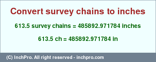 Result converting 613.5 survey chains to inches = 485892.971784 inches