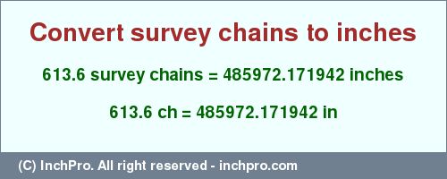 Result converting 613.6 survey chains to inches = 485972.171942 inches