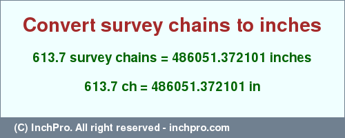 Result converting 613.7 survey chains to inches = 486051.372101 inches