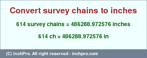 Result converting 614 survey chains to inches = 486288.972576 inches