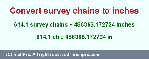 Result converting 614.1 survey chains to inches = 486368.172734 inches