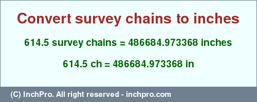 Result converting 614.5 survey chains to inches = 486684.973368 inches