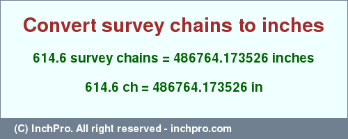 Result converting 614.6 survey chains to inches = 486764.173526 inches