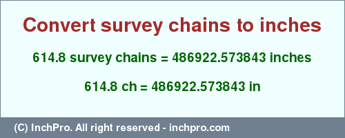 Result converting 614.8 survey chains to inches = 486922.573843 inches