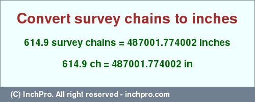 Result converting 614.9 survey chains to inches = 487001.774002 inches