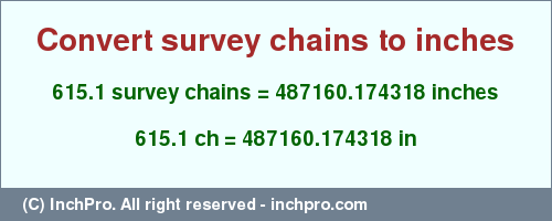 Result converting 615.1 survey chains to inches = 487160.174318 inches