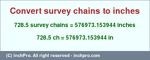 Result converting 728.5 survey chains to inches = 576973.153944 inches