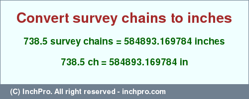 Result converting 738.5 survey chains to inches = 584893.169784 inches