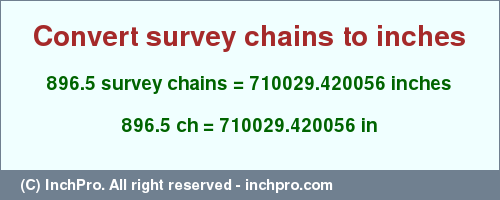 Result converting 896.5 survey chains to inches = 710029.420056 inches