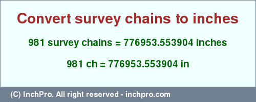 Result converting 981 survey chains to inches = 776953.553904 inches