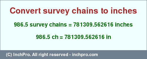 Result converting 986.5 survey chains to inches = 781309.562616 inches