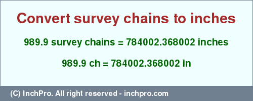 Result converting 989.9 survey chains to inches = 784002.368002 inches