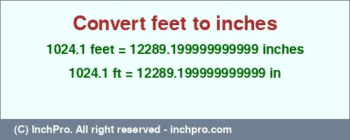 1024.1 feet to inches is equal to 12289.199999999999 (in) Result converting 1024.1 feet to inches = 12289.199999999999 inches