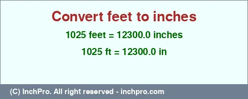 1025 feet to inches is equal to 12300.0 (in) Result converting 1025 feet to inches = 12300.0 inches